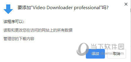 Video Downloader professional chrome插件