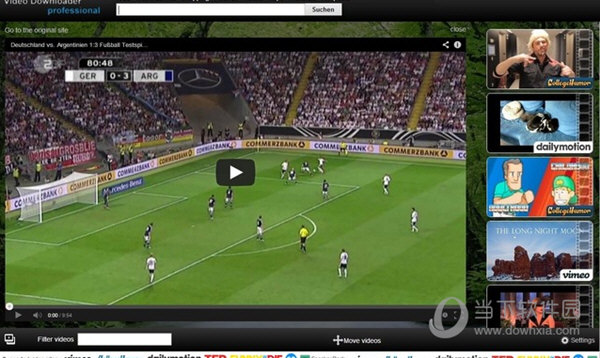 Video Downloader professional chrome插件
