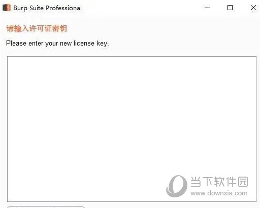 Burp Suite 2022专业版