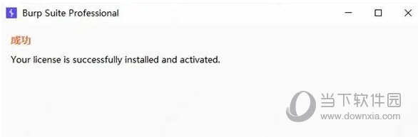 Burp Suite 2022专业版