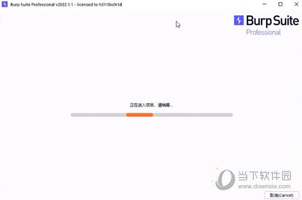 Burp Suite
