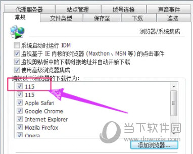 IDM毛子版
