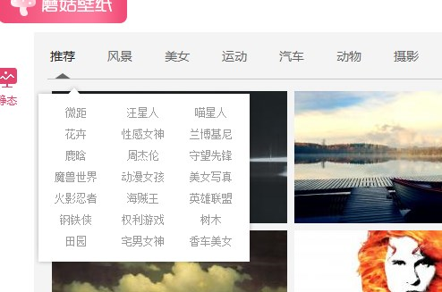 蘑菇壁纸