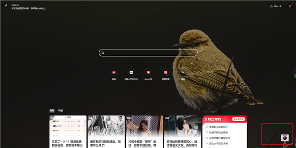 360极速浏览器X精简优化版