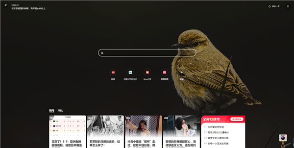 360极速浏览器X精简优化版