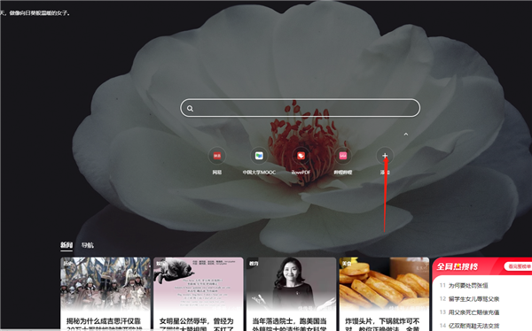360极速浏览器X精简优化版