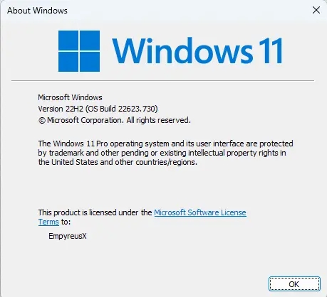 Win11 KB5017385离线更新补丁