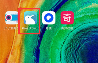 kiwi浏览器电脑版下载
