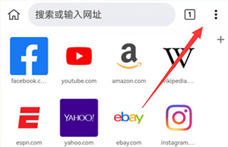 kiwi浏览器电脑版下载