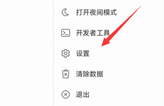 kiwi浏览器电脑版下载