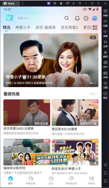 埋堆堆
