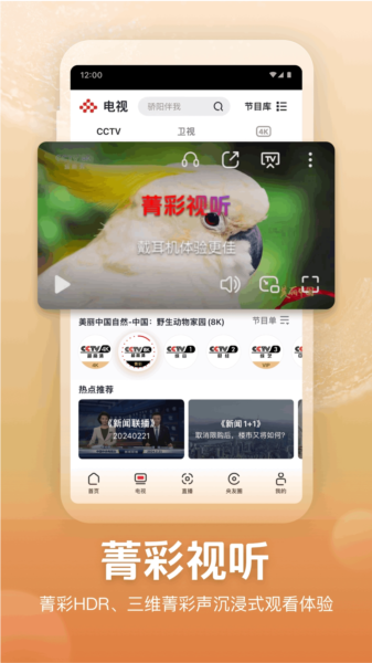 央视频