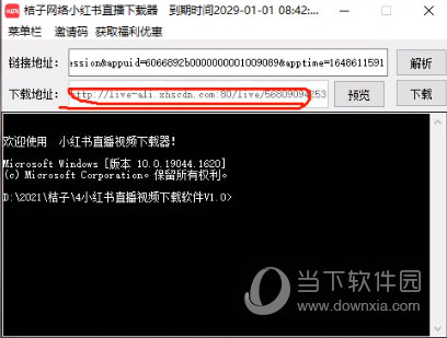 桔子网络小红书直播下载器