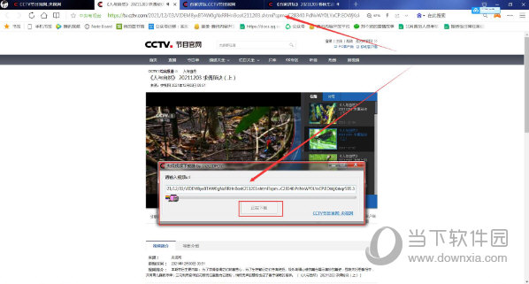 央视视频下载器