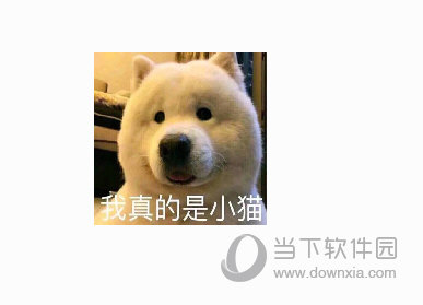 桌面悬浮图片工具