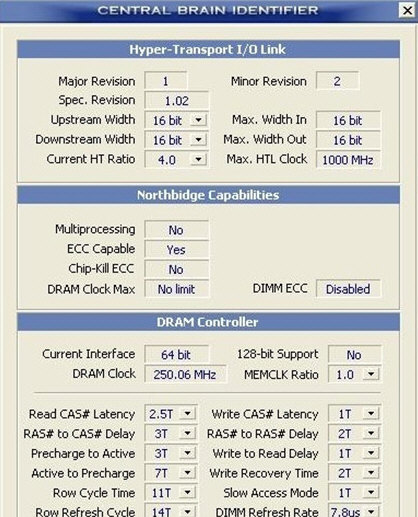 Central Brain Identifier