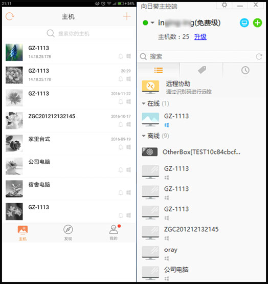 向日葵