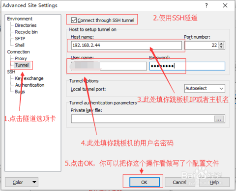 WinSCP