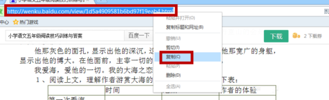 冰点文库下载器去广告单件版