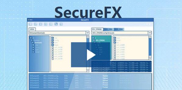 SecureFX8.0下载