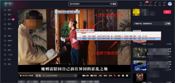 idm如何抓取网页视频1