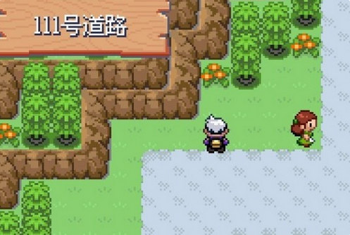 口袋妖怪漆黑的魅影常见问题1
