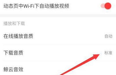 网易云音乐下载mp3格式教程1