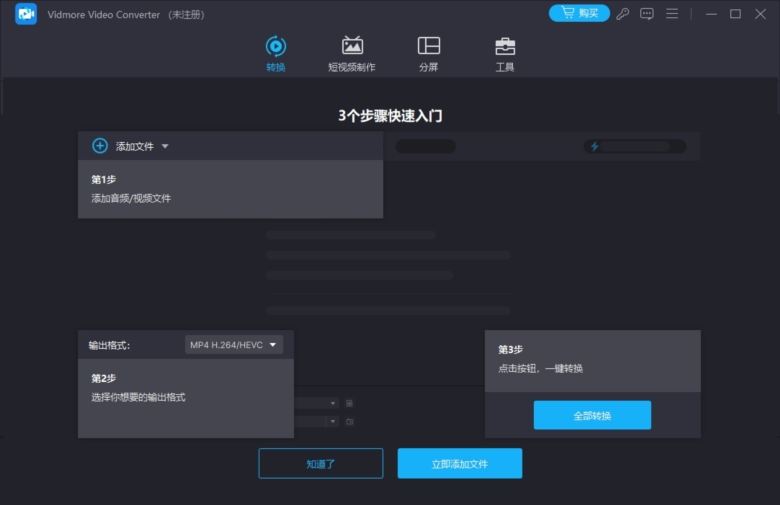 Vidmore Video Converter截图1