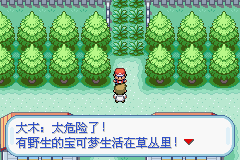 口袋妖怪火红攻略4
