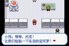 口袋妖怪火红攻略5