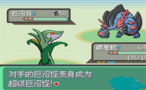 口袋妖怪究极绿宝石5修改器