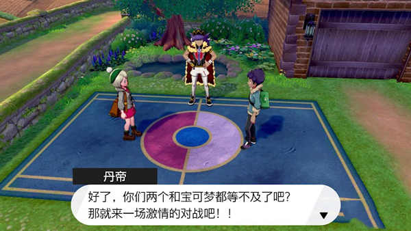 宝可梦剑盾新手流程图文攻略6