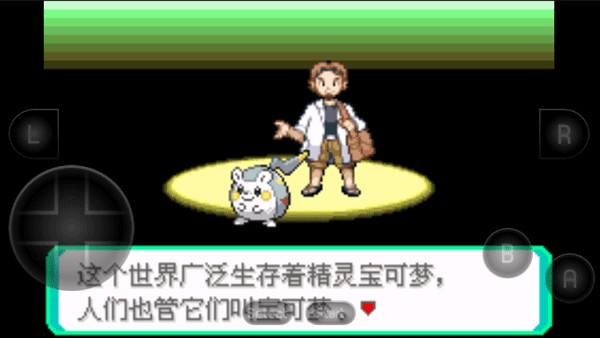 精灵宝可梦究极绿宝石游戏攻略3