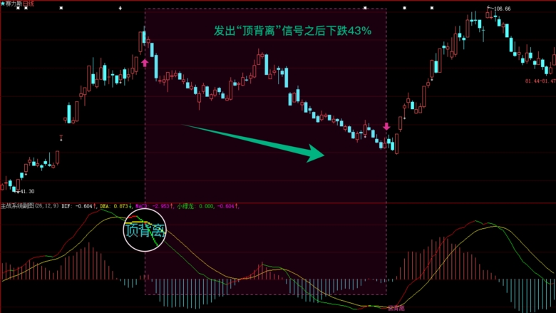 大智慧365截图3