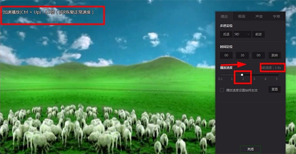 爱奇艺万能联播21