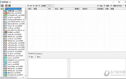 包裸万象抓包工具 V1.0 绿色版